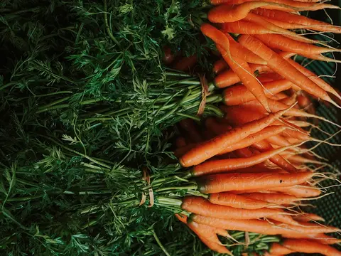 Bündel Möhren in einer Kiste