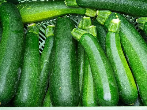 Zucchini