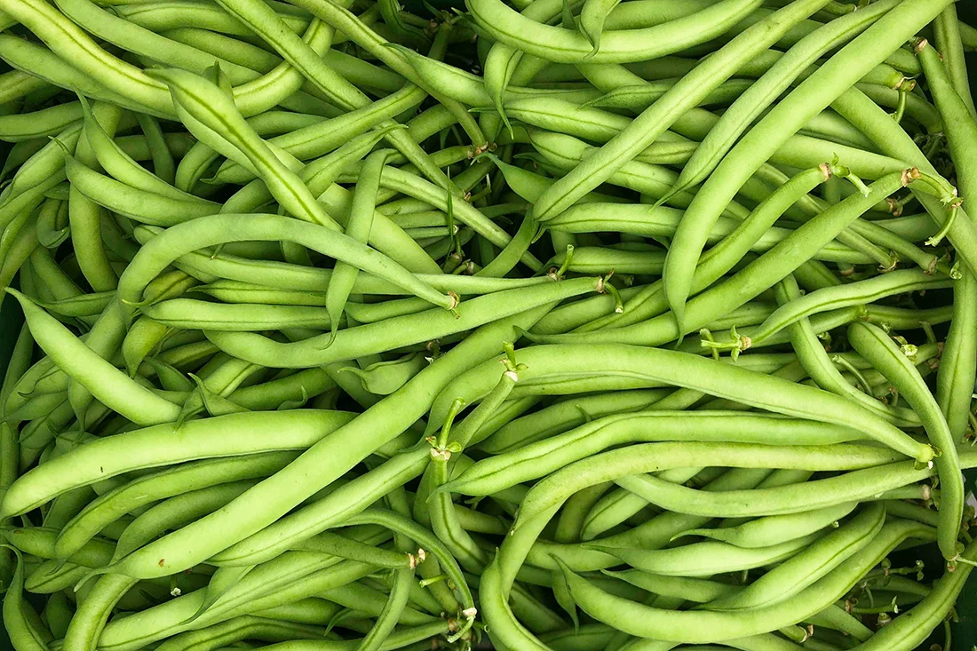grüne Stangenbohnen