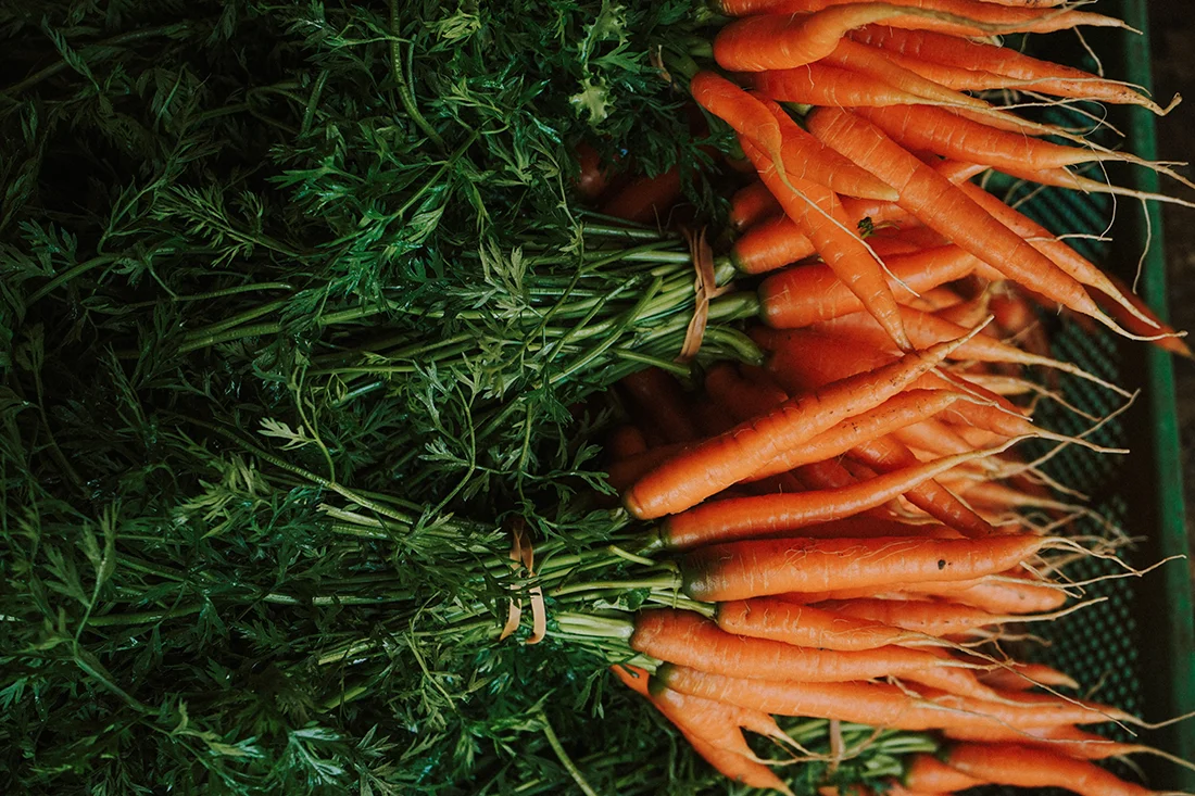 Bündel Möhren in einer Kiste