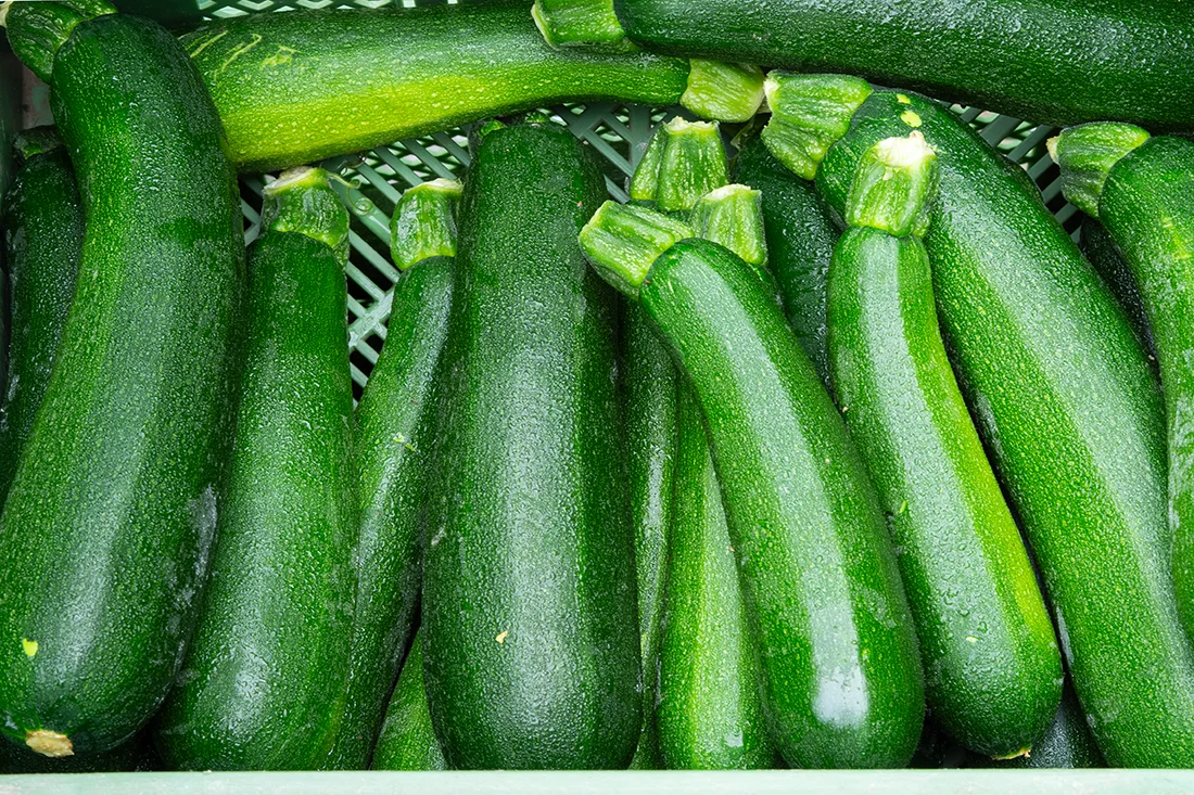 Zucchini