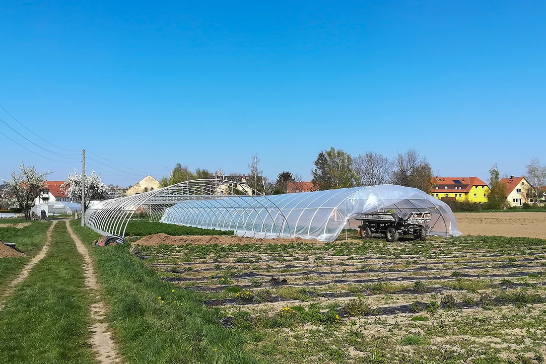 Auf einem Feld werden zwei Folientunnel gebaut