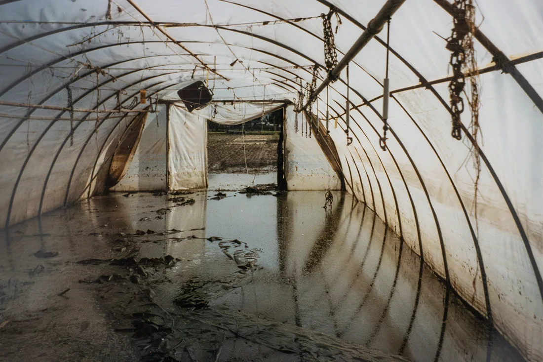 Ein überschwemmter Folientunnel von innen betrachtet