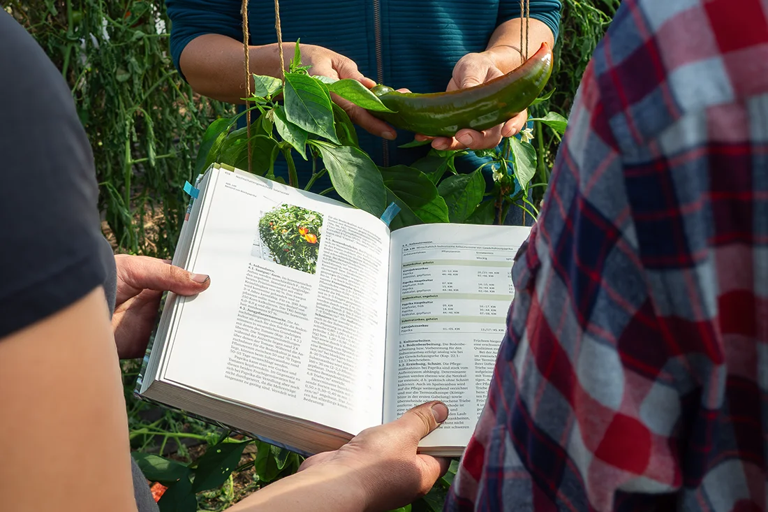 junge Frau hält ein Lehrbuch über Gemüsepflanzen, davor wird eine Paprika-Frucht gezeigt